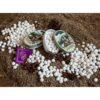 Anis de Flavigny "Anis" Boîte ovale 50gr – Image 2