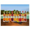 Rhum arrangé Sélection "Ananas Coco" 30° 70cl – Image 3
