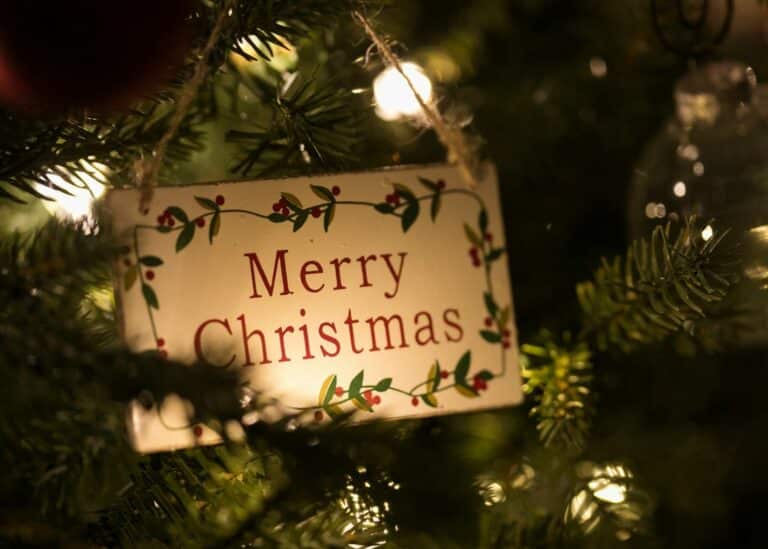 Lire la suite à propos de l’article Découvrez notre sélection pour un noël gourmand