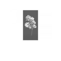 Serviettes en papier noir à fleur blanche (x20) 10x20cm
